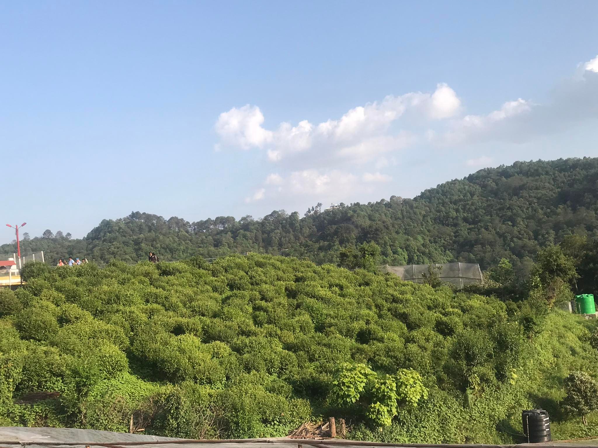 विश्व पर्यावरण दिवसका अवसरमा लुम्ले र लक्ष्मी देउराली कास्कीको संरक्षित हरियाली क्षेत्र-जय कार्की
